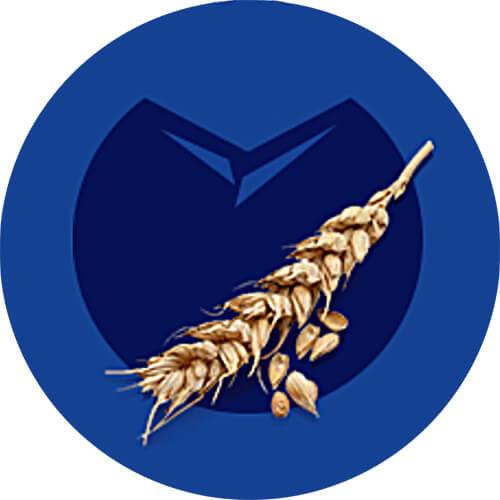 Cass ingredient malt