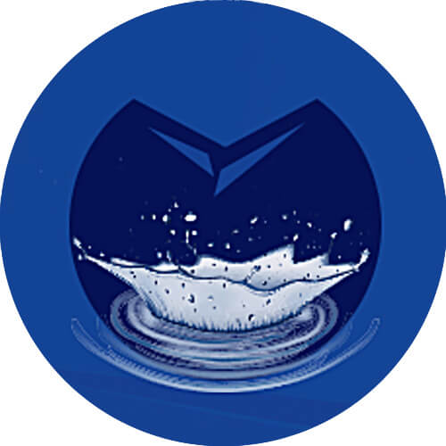 Lychee Soju Good Day Canada