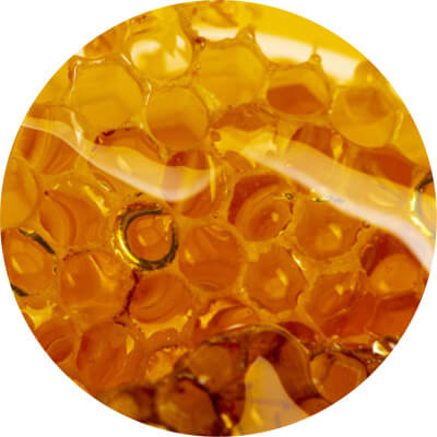 won mae honey from jeju island